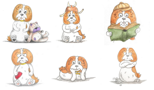 Le petit shih tzu