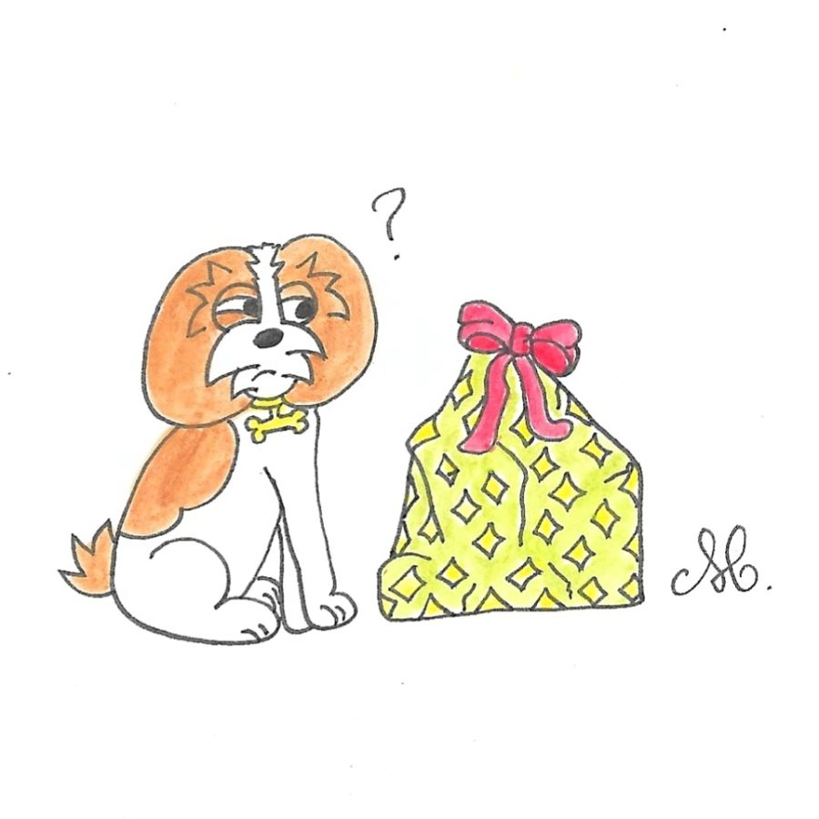 Le cadeau oublié