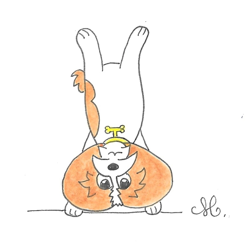 A l'envers illustration rigolote