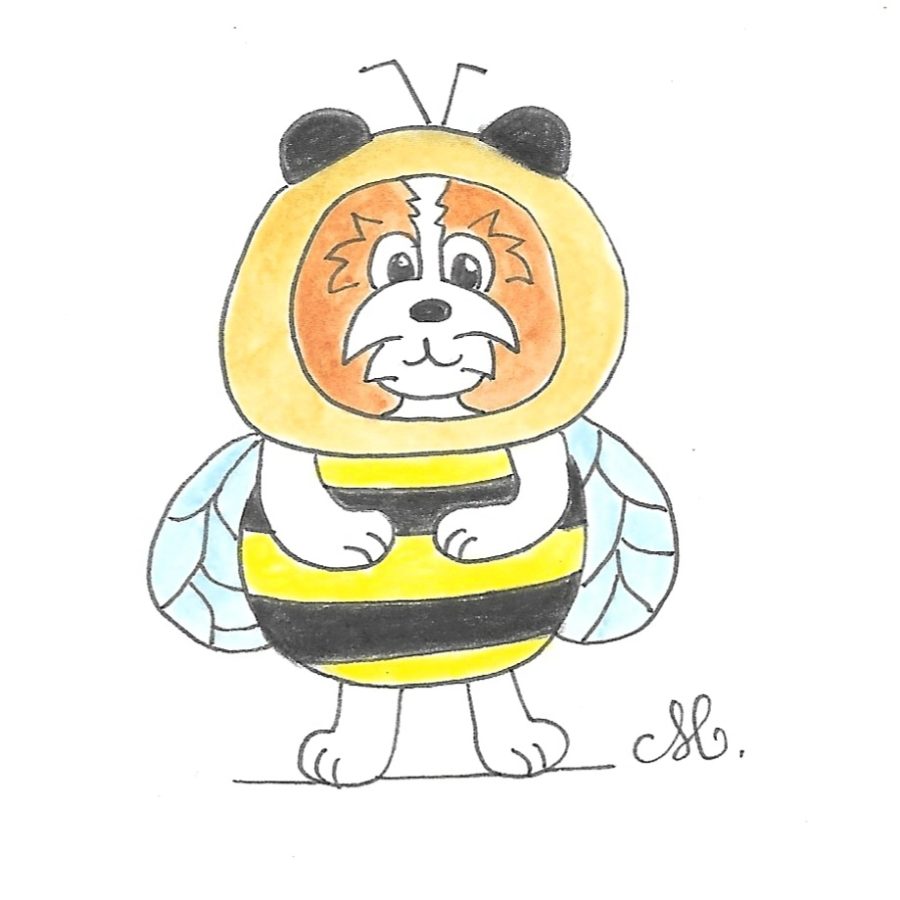 Petite abeille
