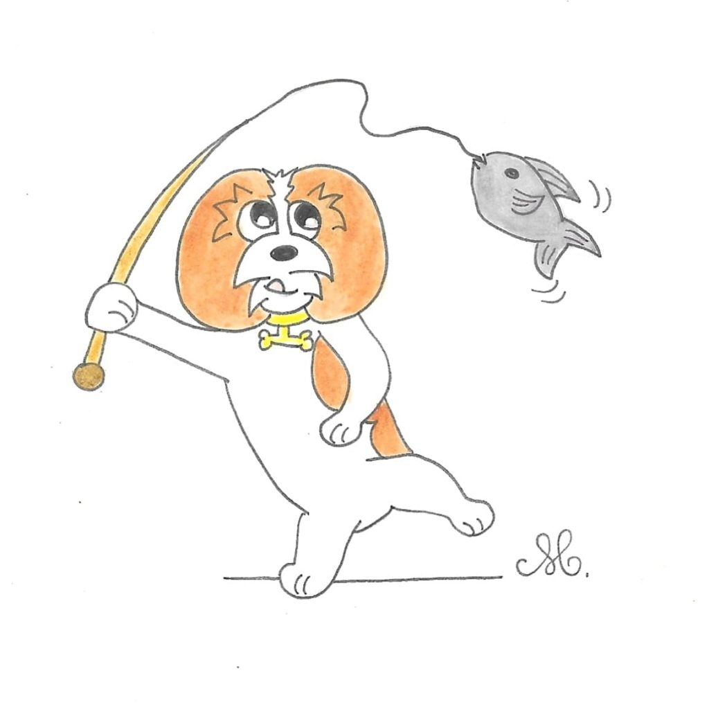 Journée de pêche