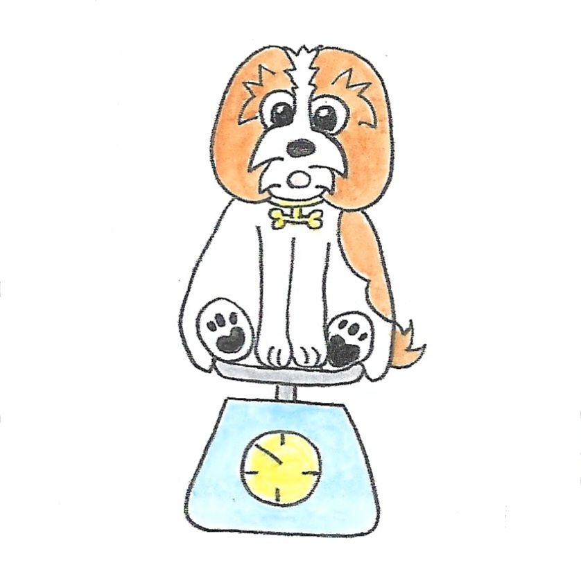 Signe astrologie Balance
