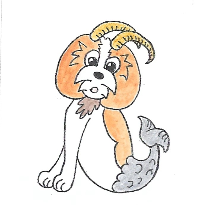 Signe astrologie Capricorne